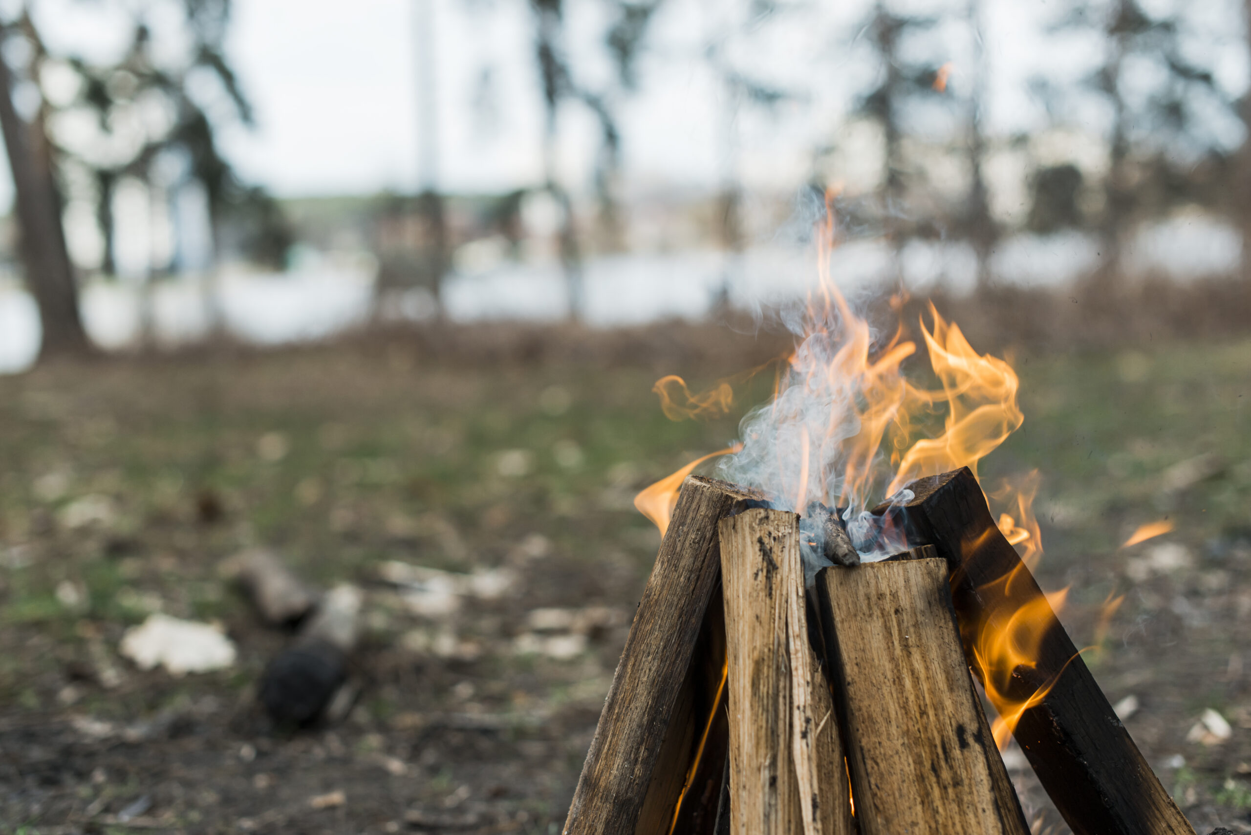 Read more about the article Get Toasty: How to Build a Campfire Without Looking Like a Buffoon